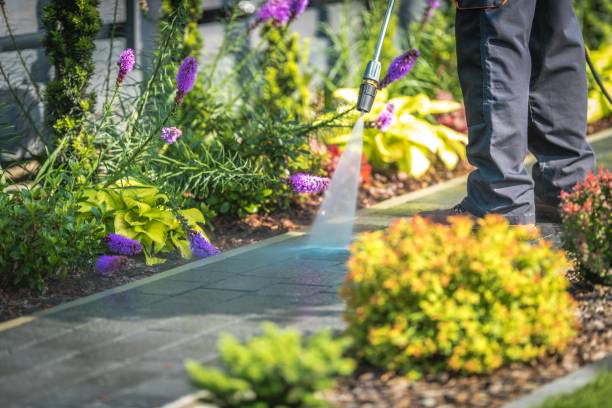 Best Parking Lot and Garage Cleaning  in Allendale, MI