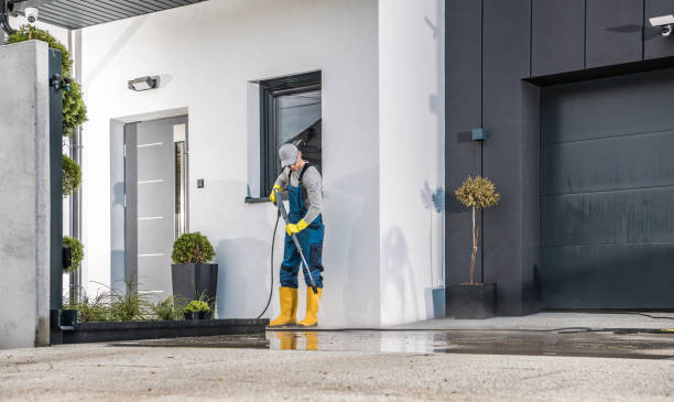 Best Fence Cleaning  in Allendale, MI
